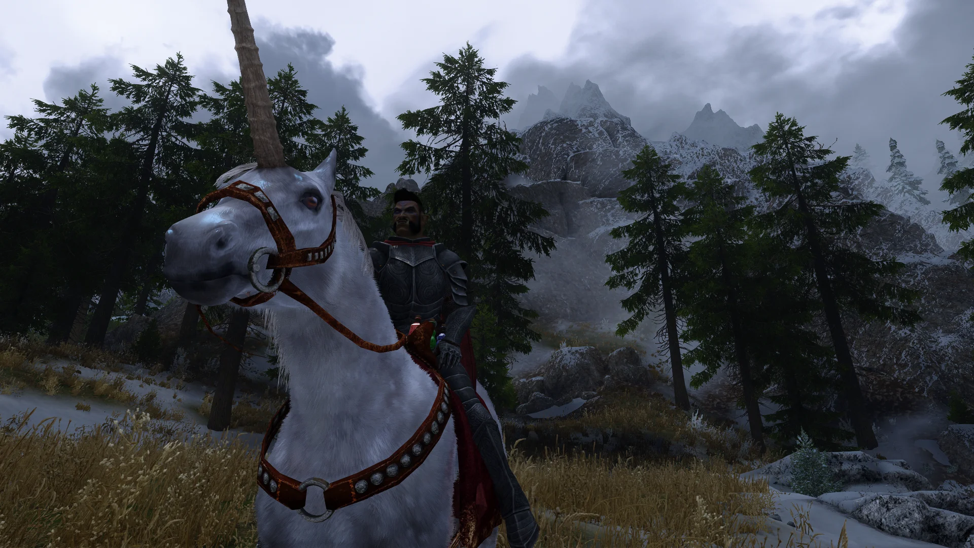 Licentia NEXT showcase screenshot 12
