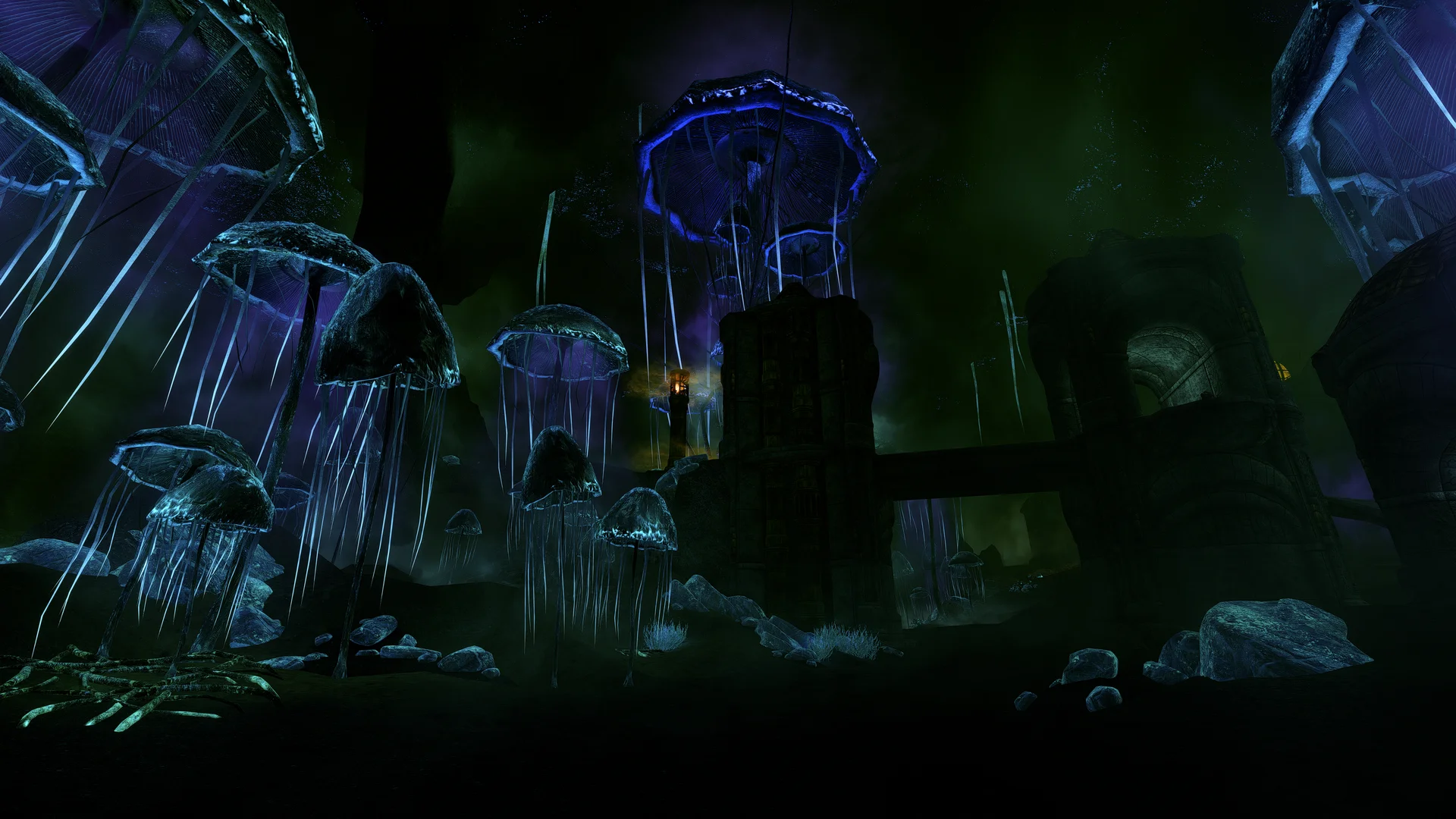 Licentia NEXT showcase screenshot 12