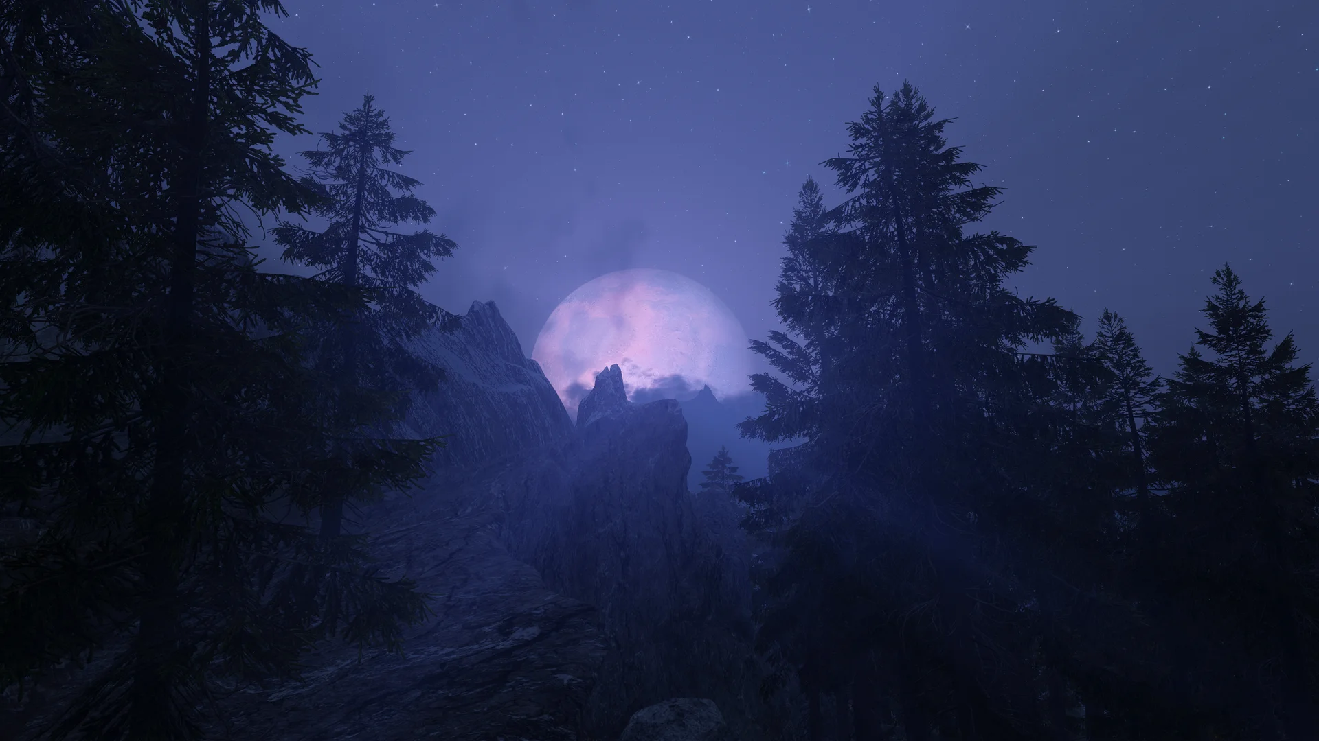 Licentia NEXT showcase screenshot 23