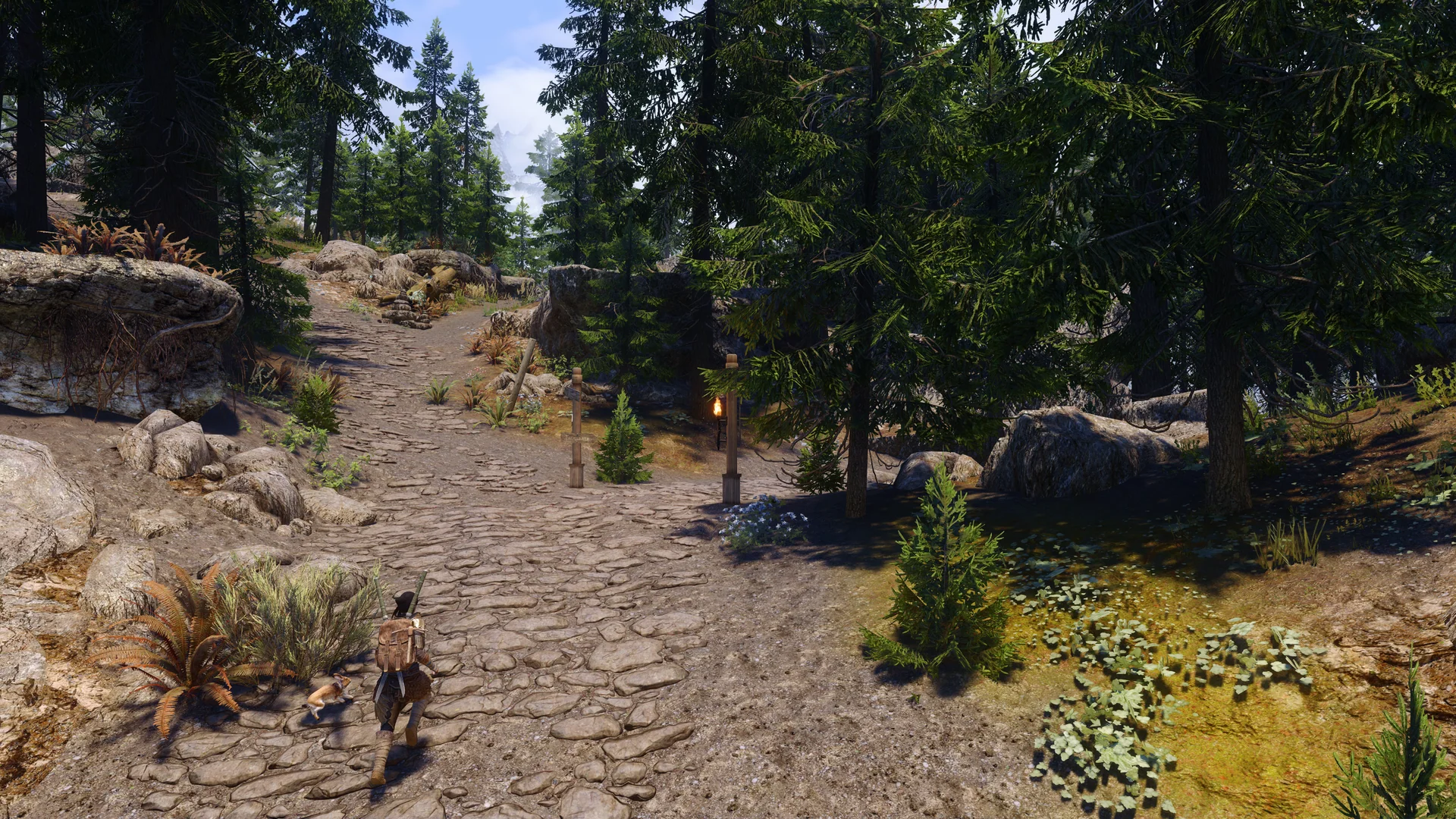 Licentia NEXT showcase screenshot 14